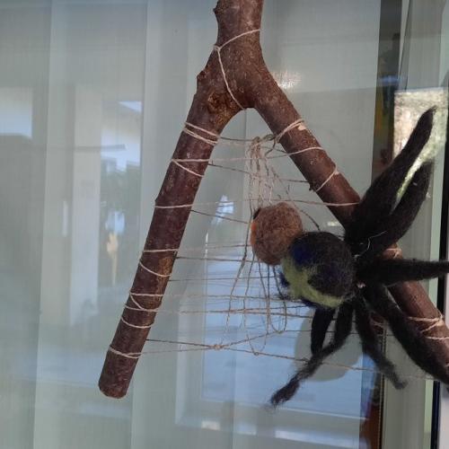 Spinnennetz mit Spinne auf Astgabel