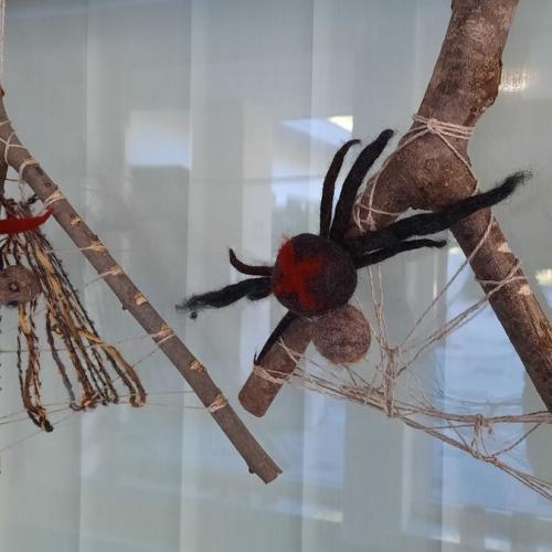 Spinnennetz mit Spinne auf Astgabel