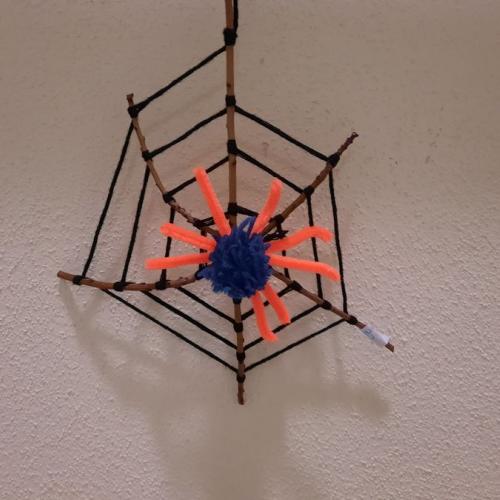 Werken - Spinnennetz und Spinne