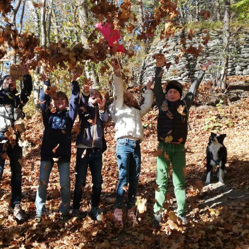 Wer springt am höchsten?