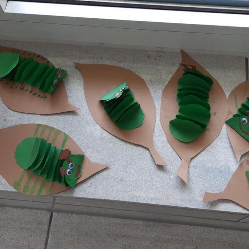 Werken Teil 1 - Raupen 1