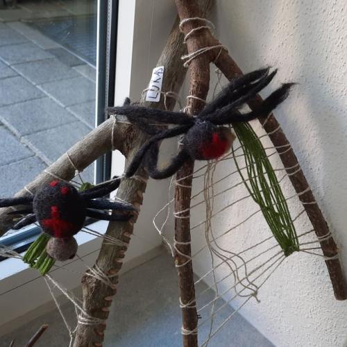 Spinnennetz mit Spinne auf Astgabel