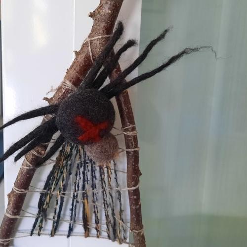 Spinnennetz mit Spinne auf Astgabel