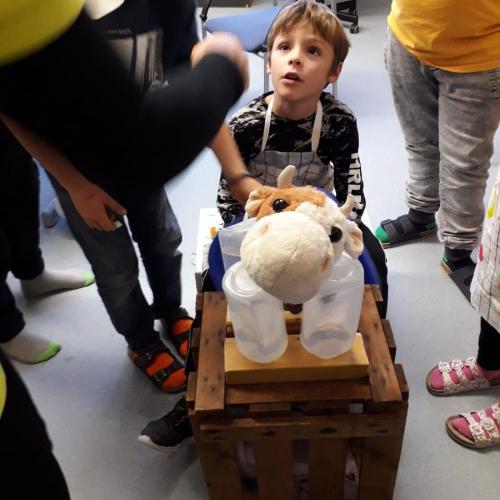 Schmatzi Sinnesreise - Handmelken