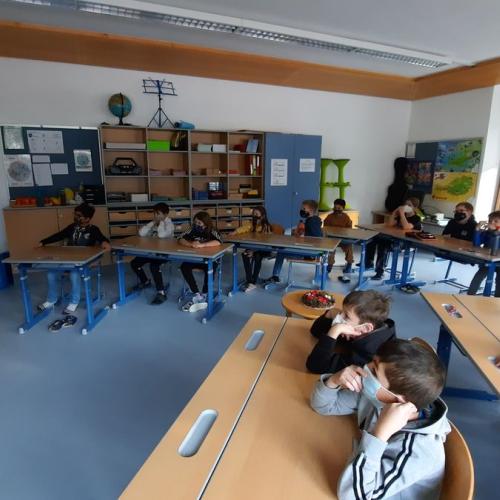 Onlinetheater - Wedel und Krebsenspeck