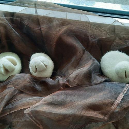 Werken - Nassfilzen von Schafen