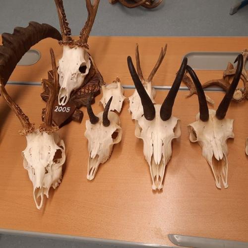 Besuch der Jäger an der Schule