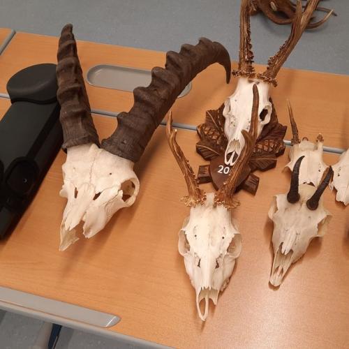 Besuch der Jäger an der Schule