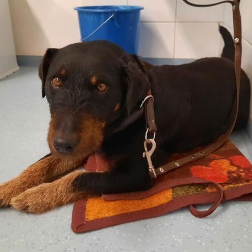 Besuch der Jäger an der Schule