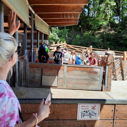 Innsbrucktag - Alpenzoo