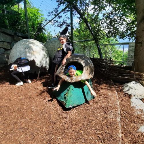 Innsbrucktag - Alpenzoo - Spielplatz