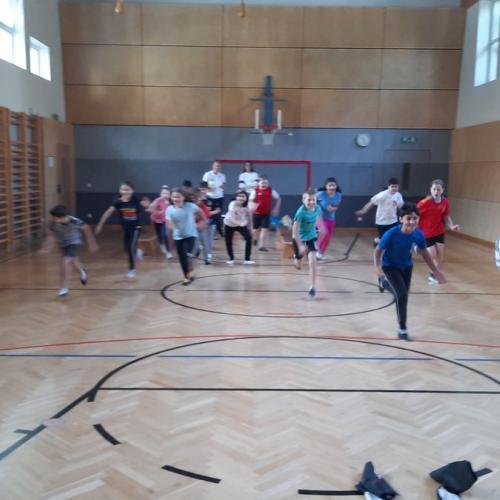 Rodelscouting - vorstellen des Kunstbahnrodelns