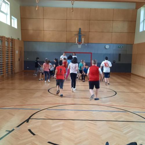 Rodelscouting - vorstellen des Kunstbahnrodelns