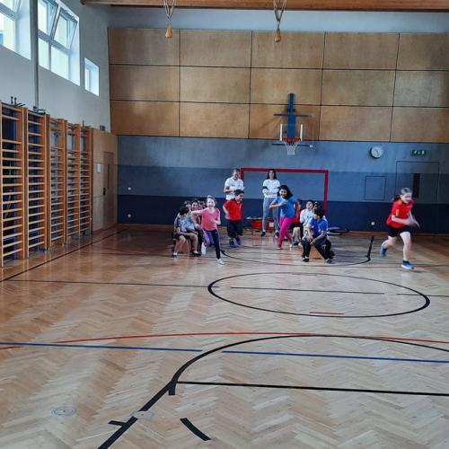 Rodelscouting - vorstellen des Kunstbahnrodelns