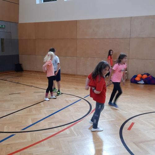 Hopsi Hopper - Ballspiele