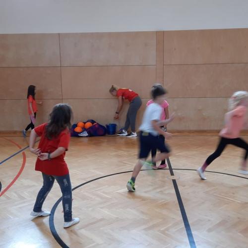 Hopsi Hopper - Ballspiele