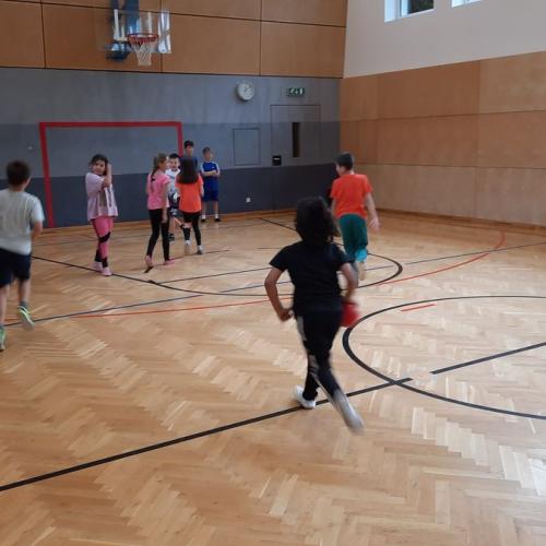 Hopsi Hopper - Ballspiele