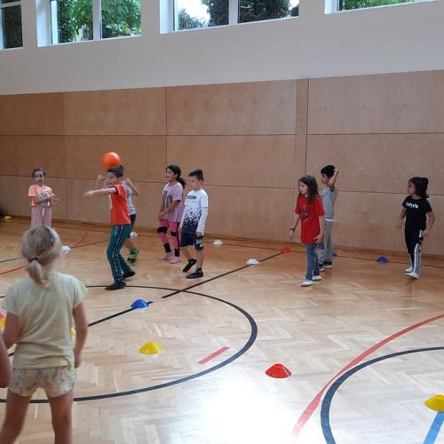 Hopsi Hopper - Ballspiele