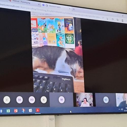 Lesung mit Christine Auer