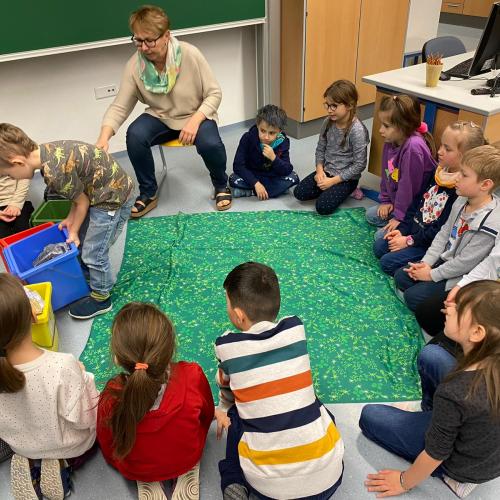 Abschluss Umweltbildungsprogramm