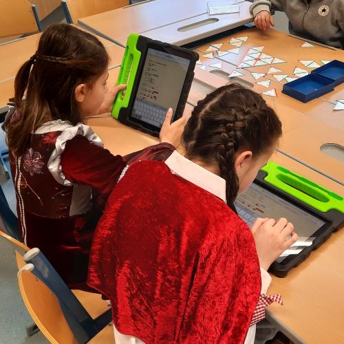 DigiMint_Coaching_Fasching