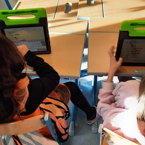 DigiMint_Coaching_Fasching