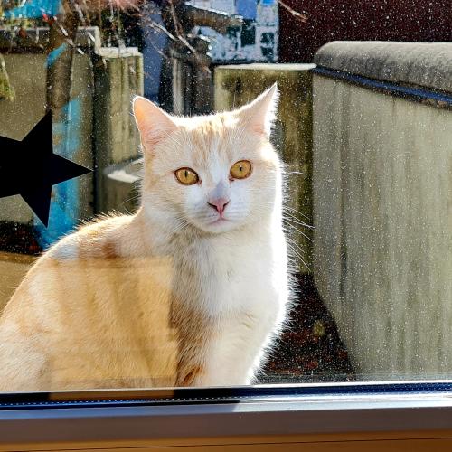 Religion in der Bücherei Perjen