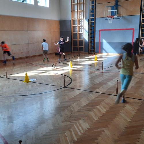 HopsiHopper - Hasenstaffellauf