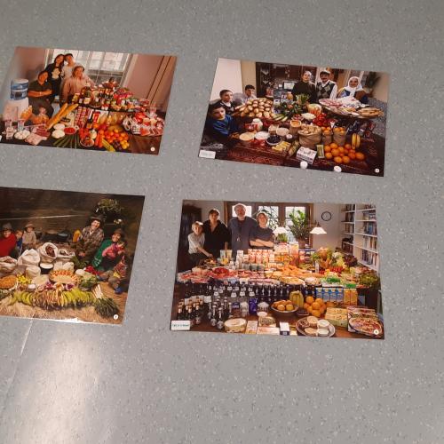 Umweltbildungsprogramm - Lebensmittel gehören nicht in den Müll