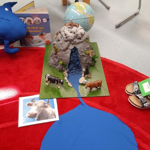 Umweltbidungsprogramm - Wasser