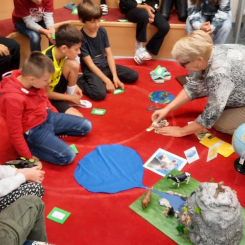 Umweltbidungsprogramm - Wasser