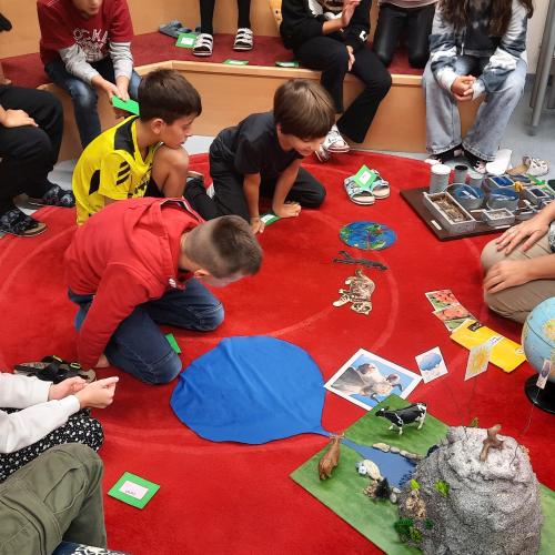 Umweltbidungsprogramm - Wasser