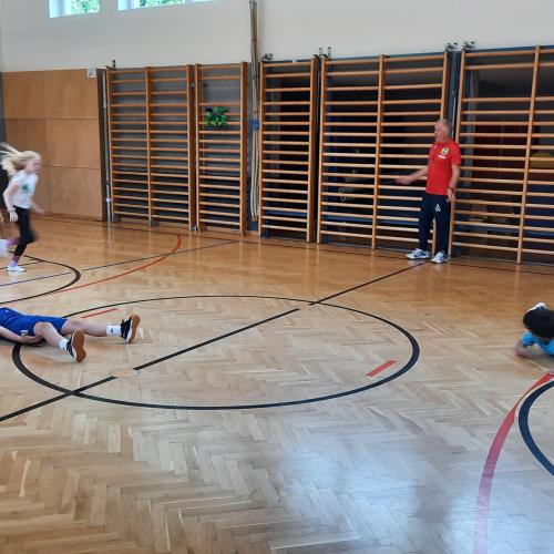 Hopsi Hopper mit Hubsi