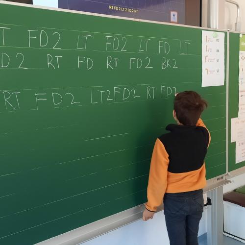 Digicoaching - Bluebots