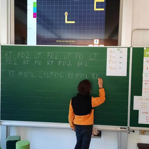 Digicoaching - Bluebots