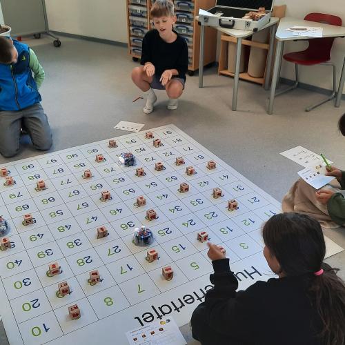 Digicoaching - Bluebots