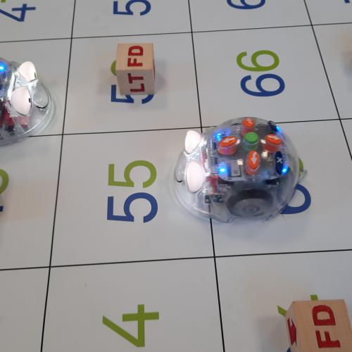 Digicoaching - Bluebots