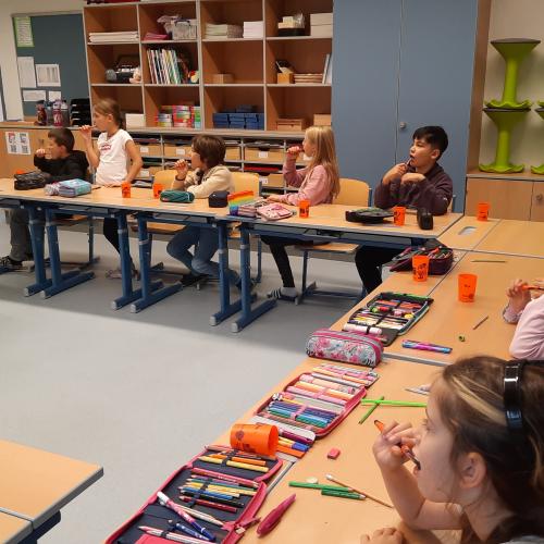 Zahngesundheitsvorsorge