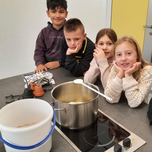 Futterglocken und Futterknödel