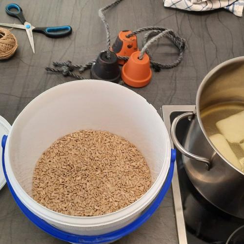 Futterglocken und Futterknödel