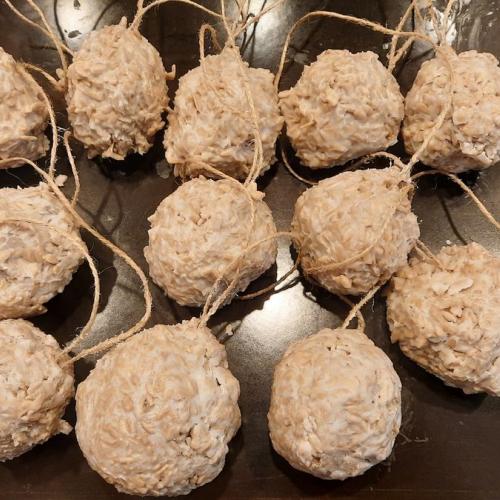 Futterglocken und Futterknödel