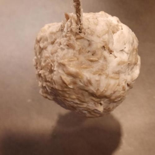 Futterglocken und Futterknödel