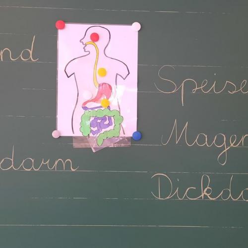 Genussvoll essen und trinken