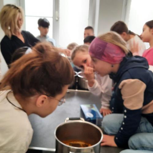 Eier mit Naturfarben färben