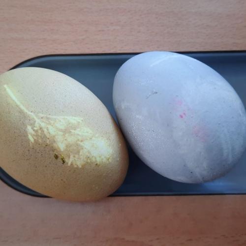 Eier mit Naturfarben färben