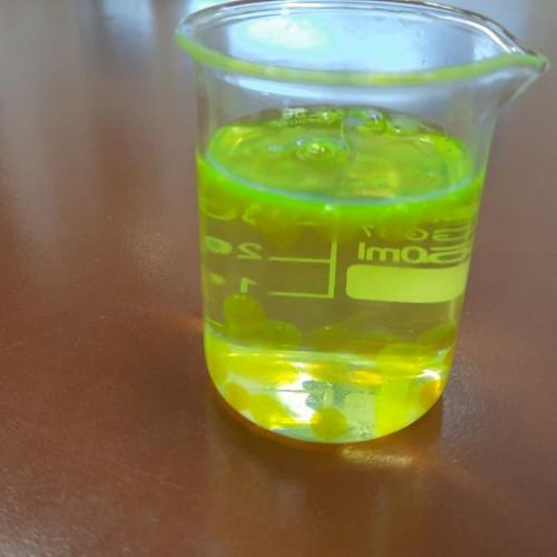 Besuch im Mint-Lab Oberland