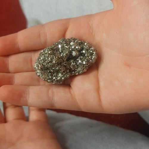 Umweltbildungsprogramm