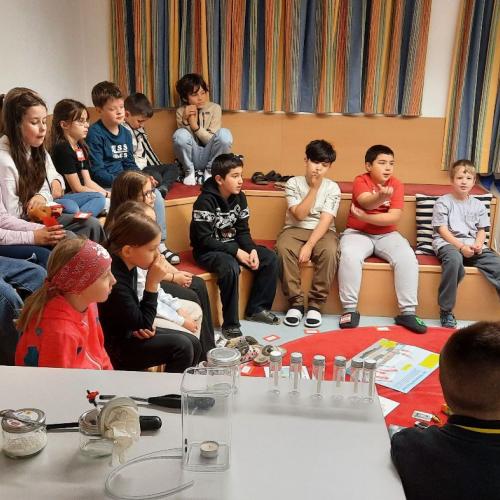 Umweltbildungsprogramm