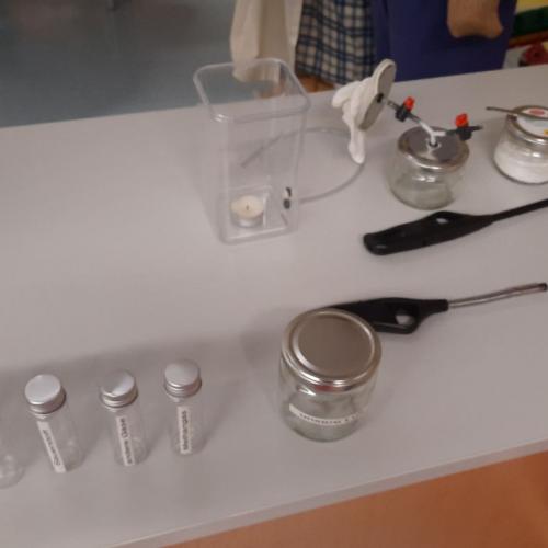 Umweltbildungsprogramm