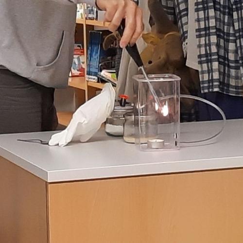 Umweltbildungsprogramm